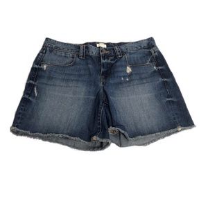J. Crew Factory Denim Raw Hem Shorts Sz 29